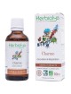 Charme Macérât de bourgeon Bio - Respiration 50 ml - Herbiolys