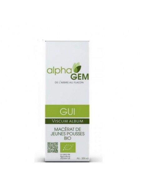 Image principale de Gui Macérat de jeunes pousses Bio - Viscum album 50 ml - Alphagem