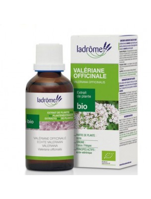 Image de Valériane officinale Bio - Stress et Sommeil Teinture-mère Valeriana officinalis 100 ml - Ladrôme via Millepertuis Bio - Déprime et Sommeil Teinture mère 50 ml - Ladrôme