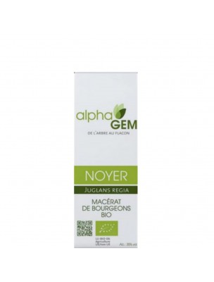 Image de Noyer Macérat de bourgeons Bio - Juglans regia 15 ml - Alphagem depuis Résultats de recherche pour "Intestinal flor"