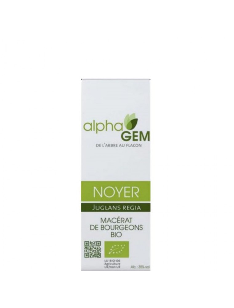 Image principale de la modale pour Noyer Macérat de bourgeons Bio - Juglans regia 15 ml - Alphagem