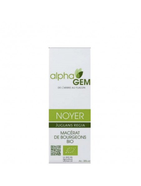 Image principale de Noyer Macérat de bourgeons Bio - Juglans regia 15 ml - Alphagem