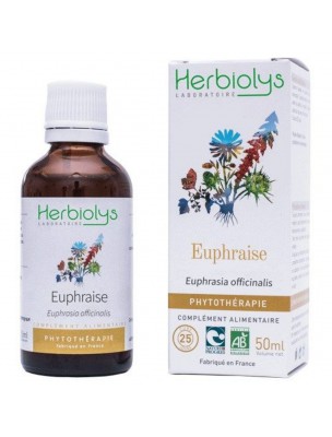Image de Euphrasia organic - Vision Mother tincture Euphrasia officinalis 50 ml - Herbiolys depuis Moisturize your eyelids, stimulate your vision and beautify your eyes