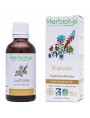 Image de Euphrasia organic - Vision Mother tincture Euphrasia officinalis 50 ml - Herbiolys via Buy Moisturizing Water - Eyelid Care 20 ml