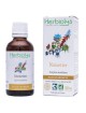 Noisetier Bio - Circulation Teinture-mère Corylus avellana 50 ml - Herbiolys