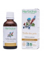 Image de Trèfle rouge (des prés) Bio - Ménopause Teinture-mère Trifolium pratense 50 ml - Herbiolys depuis ▷▷ Teintures mères de plantes commençant par la lettre T
