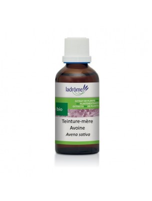 Image de Avoine Bio - Tonus et Vitalité Teinture-mère Avena sativa 100 ml - Ladrôme depuis louis-herboristerie