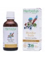 Image de Myrtille (Feuille) Bio - Sucre et Circulation Teinture-mère Vaccinum myrtillus 50 ml - Herbiolys via Acheter Euphraise Bio - Vision Teinture-mère Euphrasia officinalis 50 ml