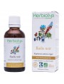 Image de Radis noir Bio - Digestion Teinture-mère Raphanus niger 50 ml - Herbiolys via Acheter Sève de bouleau Bio - DépuraSève 250 ml -