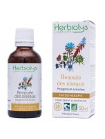 Image de Renouée des oiseaux - Teinture-mère 50 ml - Herbiolys depuis ▷▷ Teintures mères de plantes commençant par la lettre R