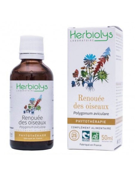 Image principale de Renouée des oiseaux - Teinture-mère 50 ml - Herbiolys