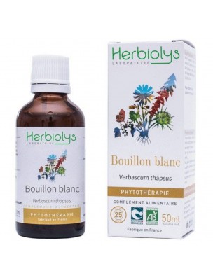 Image de Bouillon Blanc (Molène) Bio - Respiration Teinture-mère de Verbascum thapsus 50 ml - Herbiolys via Achetez Sirop des Fumeurs Bio - Herbalgem