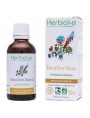 Image de White Broth (Mollen) organic - Breathing Mother tincture of Verbascum thapsus 50 ml Herbiolys via Hazelnut bud Bio - Liver and Lungs 50 ml -