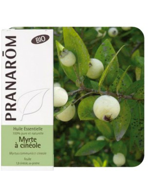 Image de Green Myrtle with cineole Bio - Essential Oil of Myrtus communis ct cineole 5 ml Pranarôm depuis Essential oils for relaxation and sleep