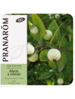 Image de Myrte verte à cinéole Bio - Huile essentielle de Myrtus communis ct cinéole 5 ml - Pranarôm depuis ▷▷ Huiles essentielles de plantes commençant par la lettre M