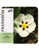 Ciste ladanifère Bio - Huile essentielle de Cistus ladaniferus 5 ml - Pranarôm