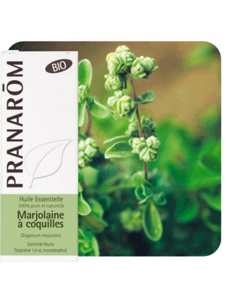 Marjolaine à coquilles Bio - Huile essentielle Origanum majorana 5 ml - Pranarôm