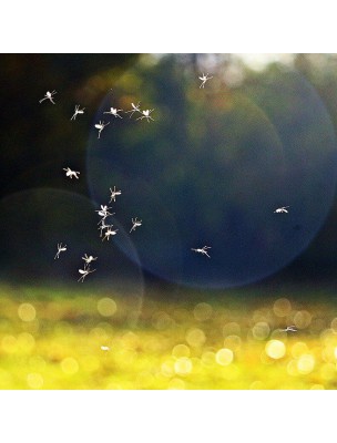https://www.louis-herboristerie.com/31323-home_default/aromapic-organic-body-spray-and-after-bite-roller-anti-mosquito-pranarom.jpg