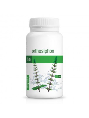 https://www.louis-herboristerie.com/319-home_default/orthosiphon-th-de-java-bio-glules-purasana.jpg