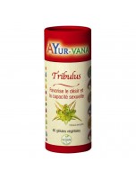 Image de Tribulus - Sexualité 60 gélules - Ayur-Vana depuis Herboristerie Louis - Produits de phytothérapie et d'herboristerie en ligne (178)