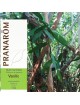Vanille Bio - Vanilla planifolia 5 ml - Pranarôm