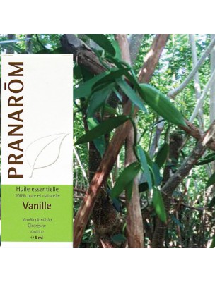 Image de Vanilla Bio - Vanilla planifolia 5 ml - Pranarôm depuis Rare and precious essential oils (2)