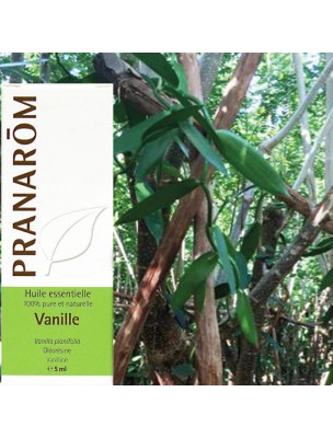 Image de Vanille Bio - Vanilla planifolia 5 ml - Pranarôm via Géranium d'Egypte - Huile essentielle Pranarôm