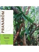 Image de Vanille Bio - Vanilla planifolia 5 ml - Pranarôm depuis ▷▷ Huiles essentielles de plantes commençant par la lettre V