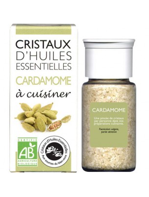 Image de Cardamome - Cristaux d'huiles essentielles - 10g via Coffret La cuisine aux cristaux d'huiles essentielles - Livre et cristaux d'huiles essentielles