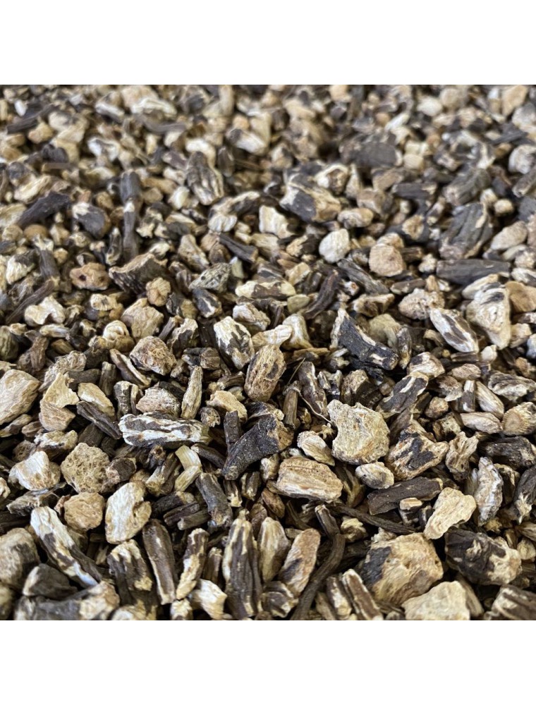 Image principale de la modale pour Angélique - Racine coupée 100g - Tisane d'Angelica archangelica L.