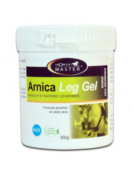 Image principale de Arnica Leg Gel - Soin des membres des chevaux 500 grammes - Horse Master