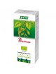 Bouleau Bio - jus de plante fraîche 200 ml – Salus