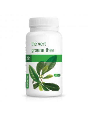 Thé vert Bio - Minceur 120 gélules - Purasana