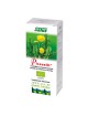 Pissenlit Bio - jus de plante fraîche 200 ml – Salus