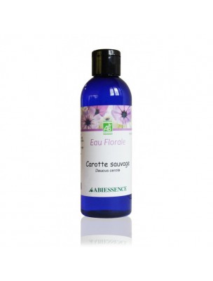 Image de Carotte sauvage Bio - Hydrolat (eau florale) 200 ml - Abiessence depuis Hydrolathérapie - Guérir avec les eaux subtiles des plantes