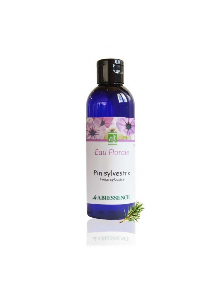 Image principale de la modale pour Pin sylvestre Bio - Hydrolat (eau florale) 200 ml - Abiessence