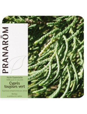 Image de Cypress of Provence (Cypress evergreen) - Essential oil of Cupressus sempervirens 10 ml Pranarôm depuis Essential oils for the urinary tract
