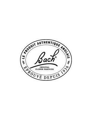 https://www.louis-herboristerie.com/3615-home_default/empty-leather-case-for-the-38-flowers-of-bach-flowers-of-bach-original.jpg