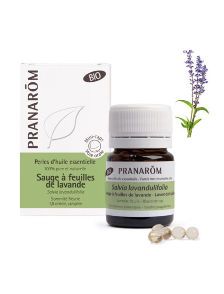 Sauge à feuilles de lavande Bio - Perles d'huiles essentielles - Pranarôm Sauge à feuilles de lavande Bio - Perles d'huiles essentielles - Pranarôm