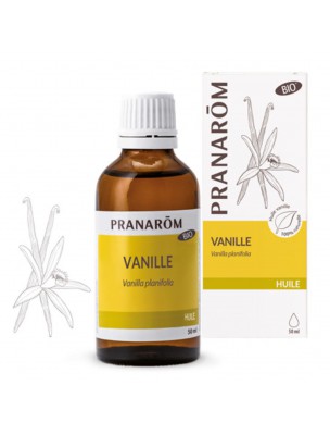 Image de Vanille Bio - Huile végétale Vanilla planifolia 50 ml - Pranarôm depuis Achetez les produits Pranarôm à l'herboristerie Louis (7)