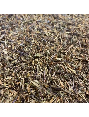 Image de Euphraise officinale - Partie aérienne 100g - Tisane Euphrasia stricta Wolff ex. depuis PrestaBlog