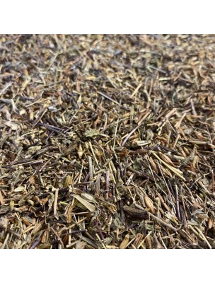 Image de Euphrasia officinalis - Aerial part 100g - Herbal tea Euphrasia stricta Wolff ex. depuis Moisturize your eyelids, stimulate your vision and beautify your eyes