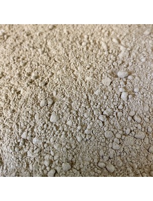 Image de Dandelion Organic - Root Powder 100g - Taraxacum officinale Herbal Tea depuis Herbalist's Organic Medicinal Plants in Powders