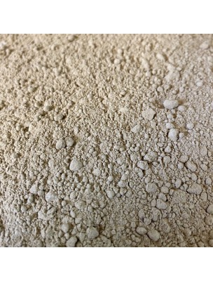 Image de Pissenlit Bio - Racine poudre 100g - Tisane de Taraxacum officinale depuis louis-herboristerie