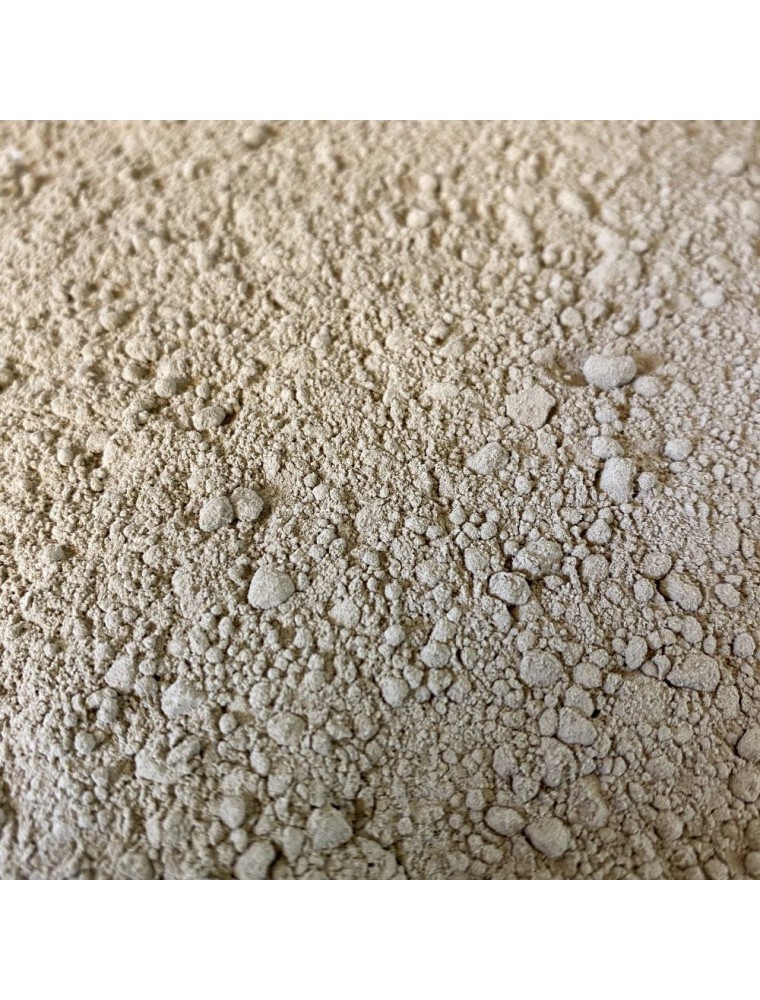 Image principale de la modale pour Pissenlit Bio - Racine poudre 100g - Tisane de Taraxacum officinale