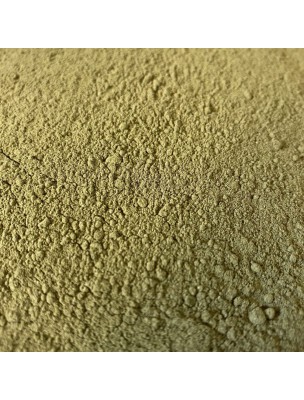 Image de Dandelion Organic - Air part powder 100g - Herbal Tea Taraxacum gpe officinale depuis Herbalist's Organic Medicinal Plants in Powders