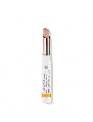 Image de Natural Corrective Stick 01 - Facial Care 2 g - Dr Hauschka depuis Organic correctors and bases for a natural coverage of your skin