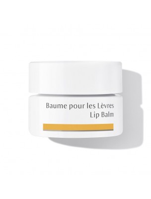 Image de Baume pour les Lèvres - Soin des lèvres 4,5 ml - Dr Hauschka depuis Résultats de recherche pour "Crème nourrissa"