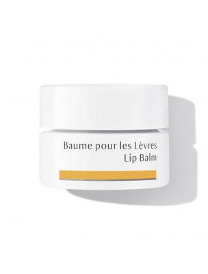 Image de Lip Balm - Lip Care 4,5 ml - Dr Hauschka depuis Regenerating and moisturizing lip balms