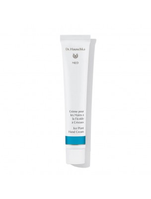 Image de Hand Cream with Ficoid Crystal - Hand Care 50 ml Dr Hauschka depuis Search results for "hauscka" in "Beauty and well-being for the body and hair"
